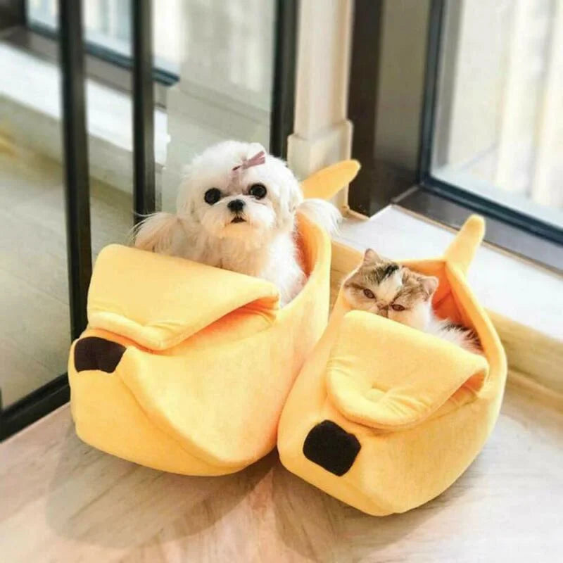 Cama de banana para gatos e cachorros